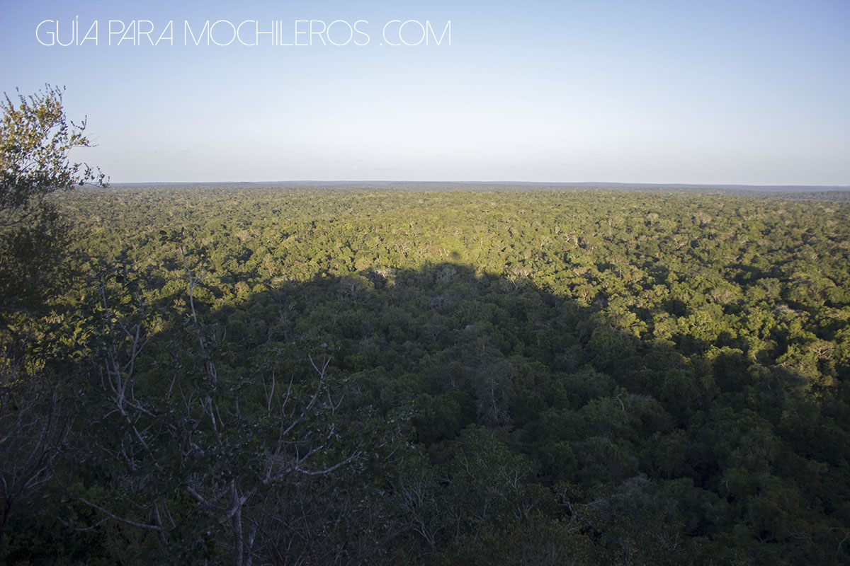 selva el Mirador Guatemala