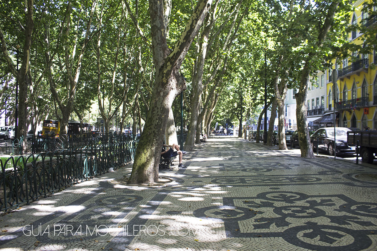 Pisos de mosaico piedra de lisboa