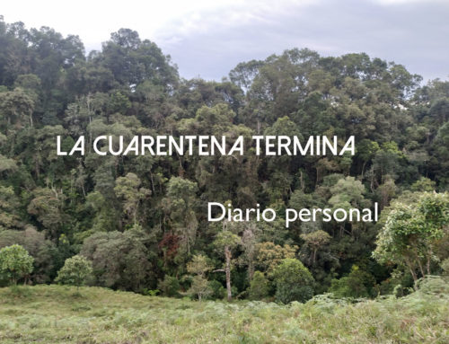 La cuarentena termina: diario personal