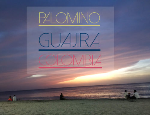Palomino Guajira | La nieve se besa con el mar