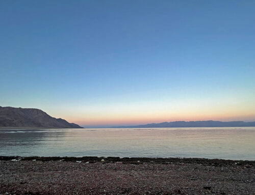 Viviendo en Dahab | Diario de viajes