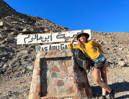 Sigo en Dahab, muy relax y muy ocupada también