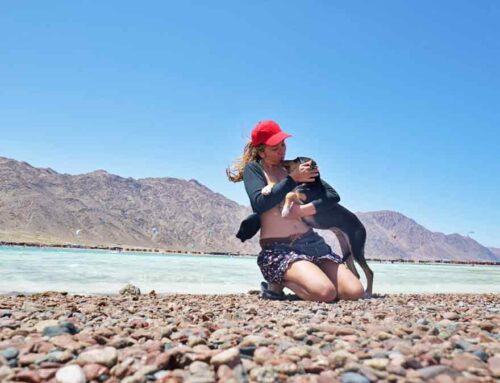 Volví a Colombia pero dejé mi perro en Egipto