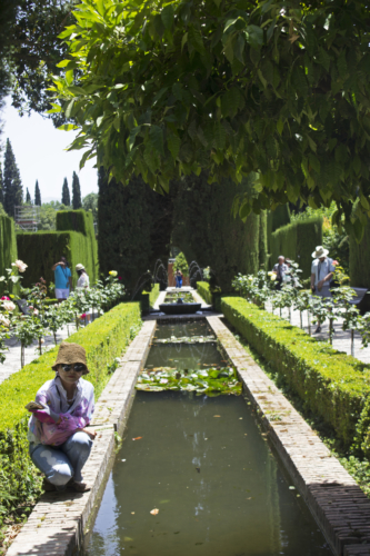 canales de agua alhambra