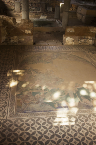 mosaico casa de mitreo